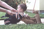puppieshelping.jpg